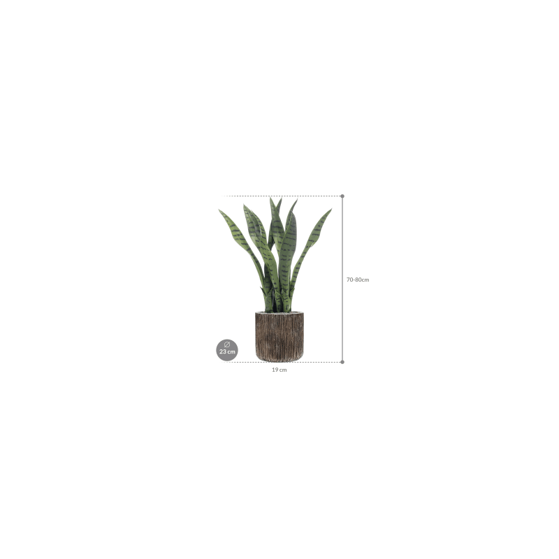 Sansevieria in Luxe Lite Universe Waterfall Cilinder - kunstplant