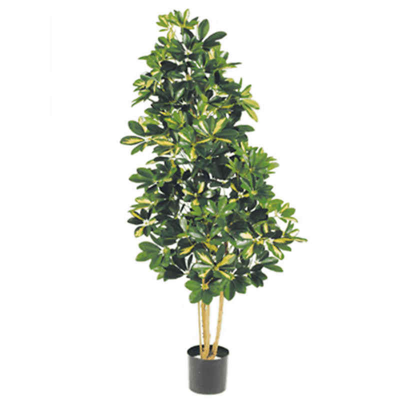 Natural Schefflera var. - kunstplant