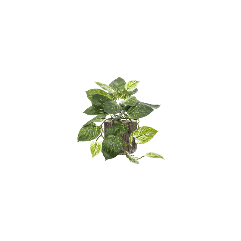 Scindapus in Luxe Lite Universe Waterfall Cilinder - kunstplant