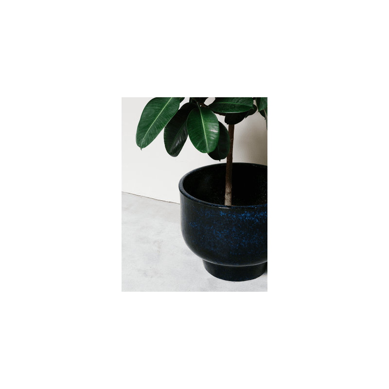 Shade Midnight Blue