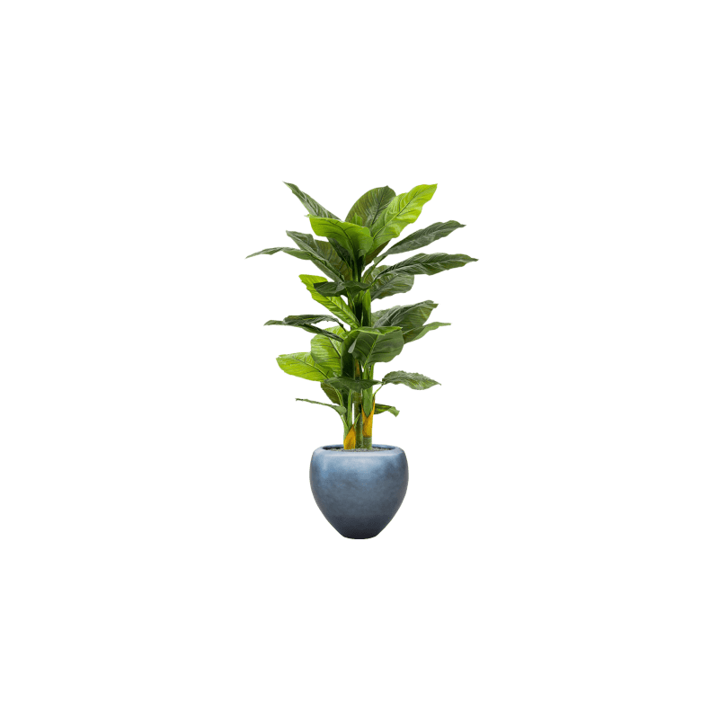 Spathiphyllum in Metallic Couple Ice Blue - kunstplant