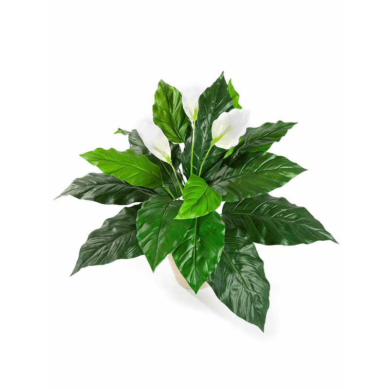 Spathiphyllum - kunstplant
