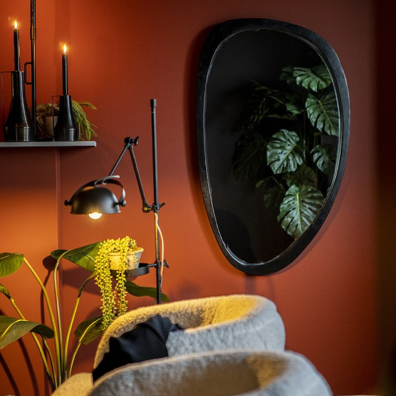 Spiegel Plecto zwart