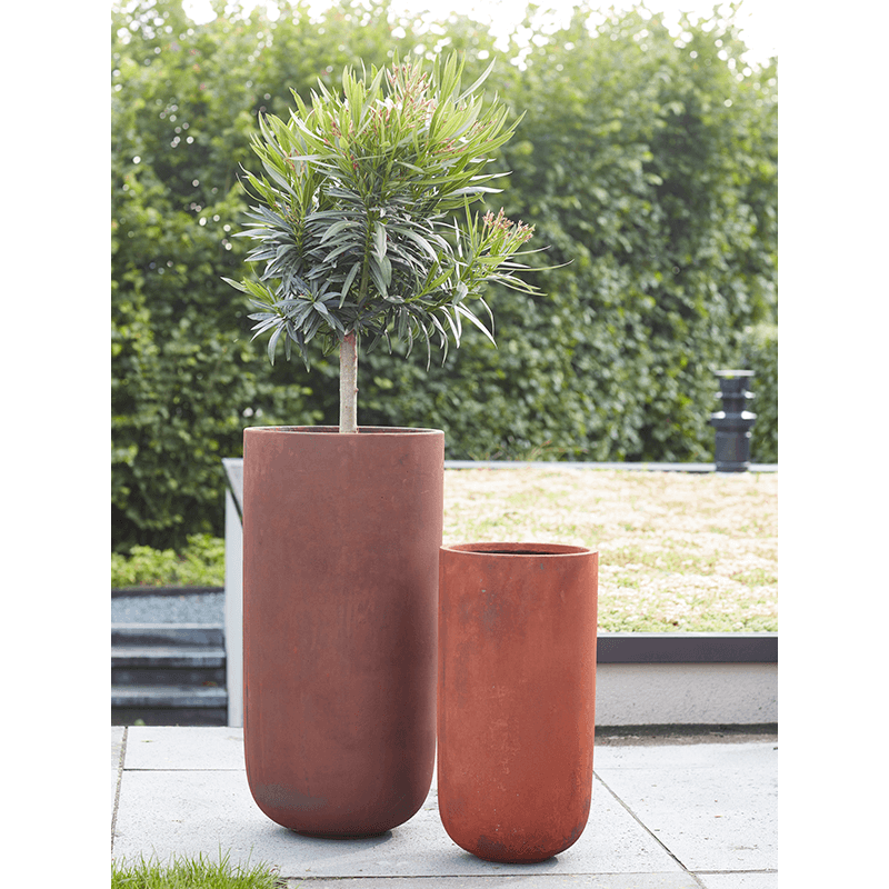 Static Partner Rusty