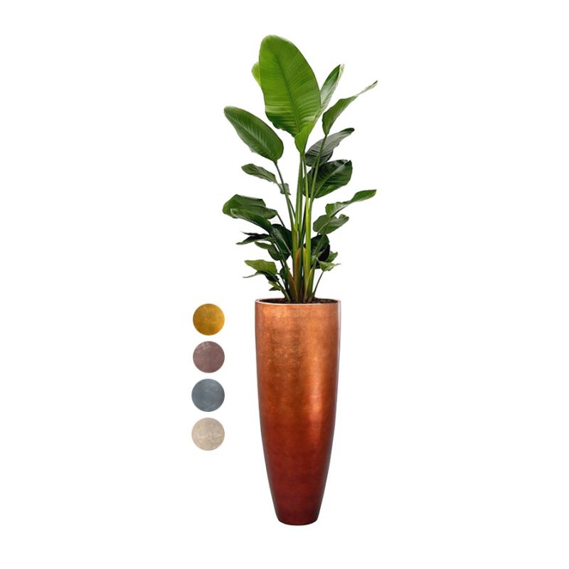 Strelitzia Nicolai in Metallic Partner copper