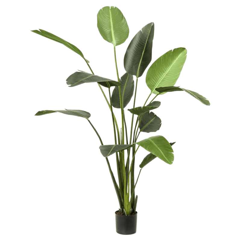 Strelitzia XL - kunstplant