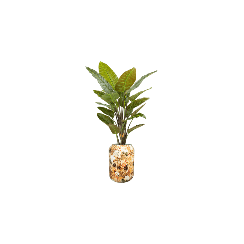 Strelitzia in Designed by Lammie Cotton Cream - kunstplant