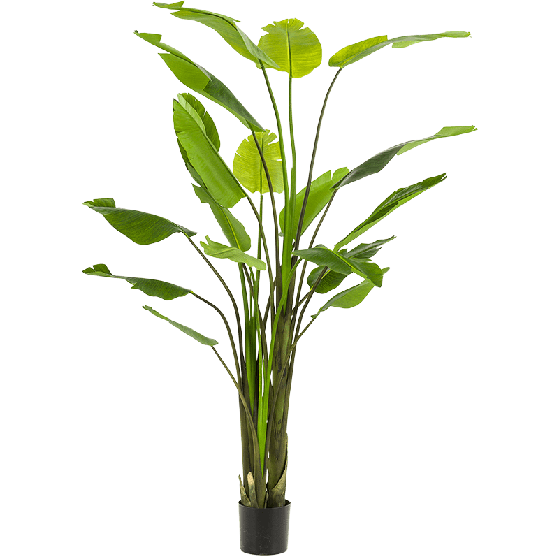 Strelitzia XXXL - kunstplant