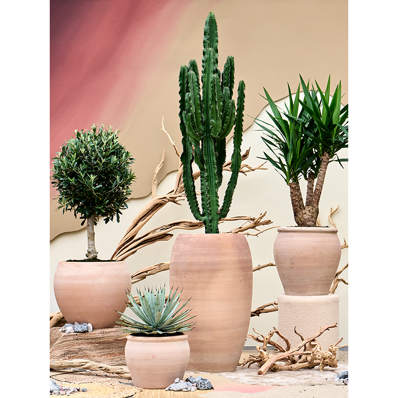 Terracotta Antica Roma