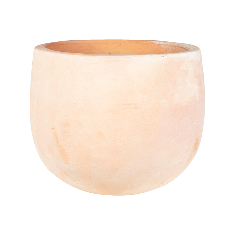 Terracotta Omar Terra