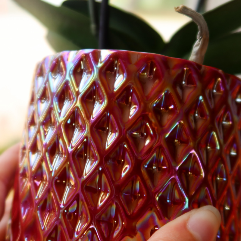 Orchidee Congo in Diamond Pearl goud