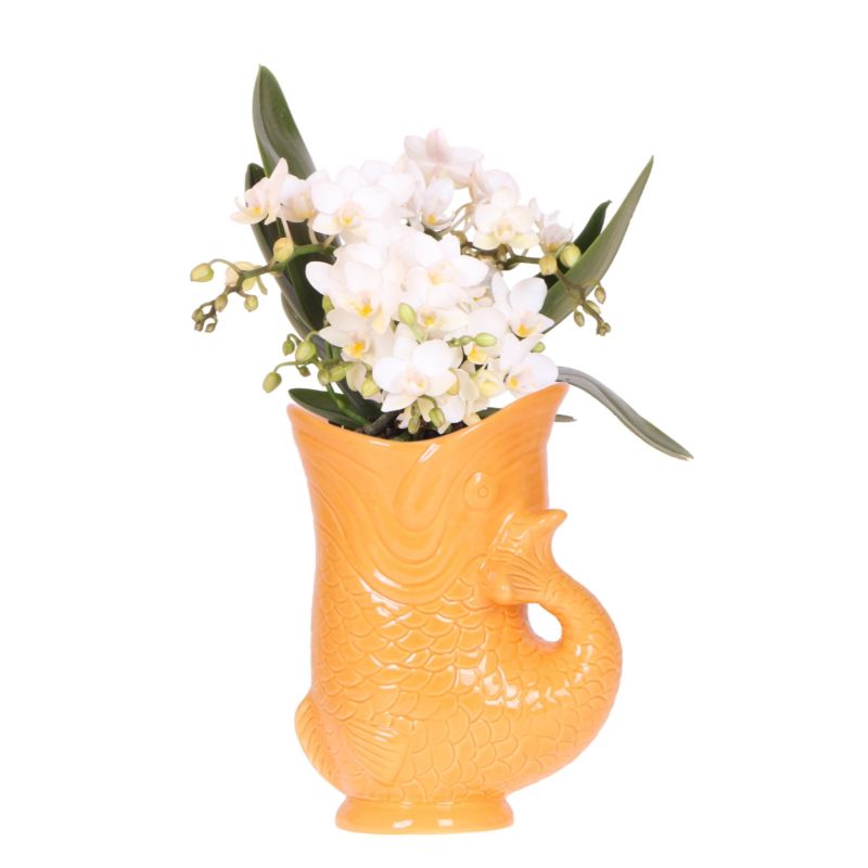 Orchidee in Yona oranje