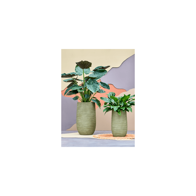 Tornado Partner Groen