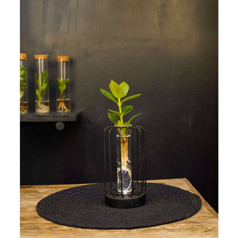 Florence Vierkant Zwart