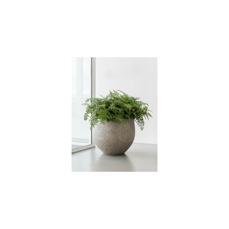 Urban Orb Beige Washed