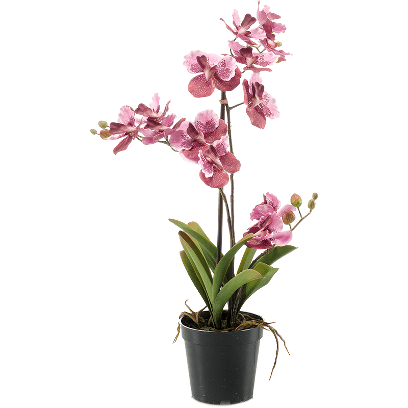 Vanda Pink - kunstplant