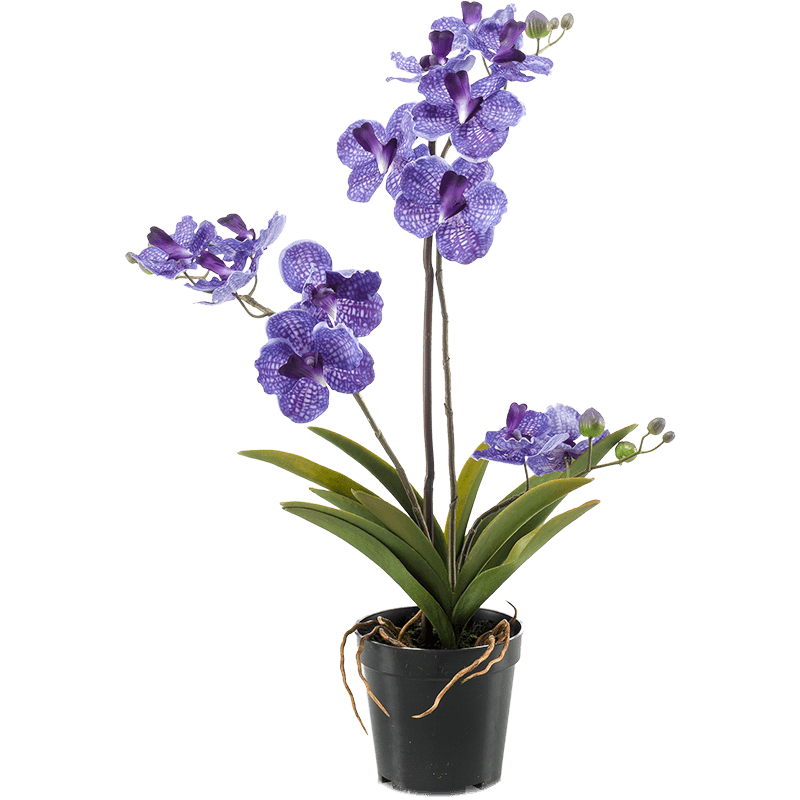 Vanda Purple - kunstplant