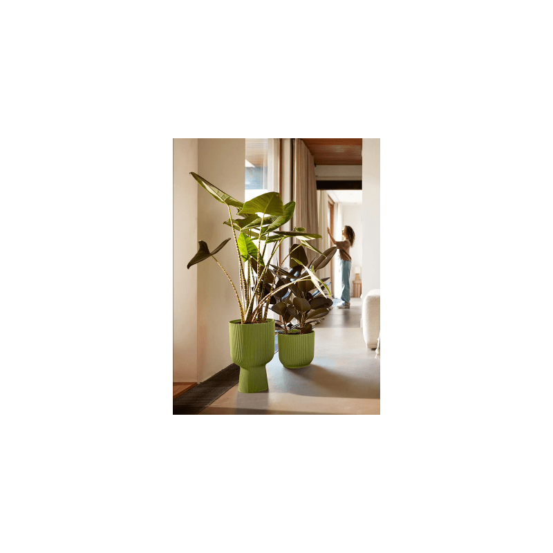 Elho Vibes Coupe Groen