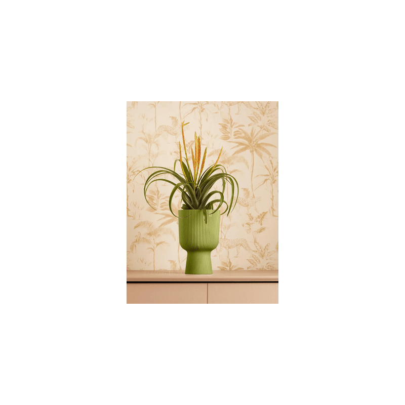 Elho Vibes Coupe Groen