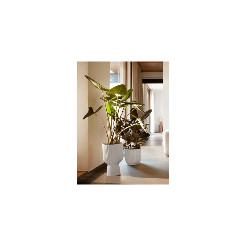 Elho Vibes Coupe Wit