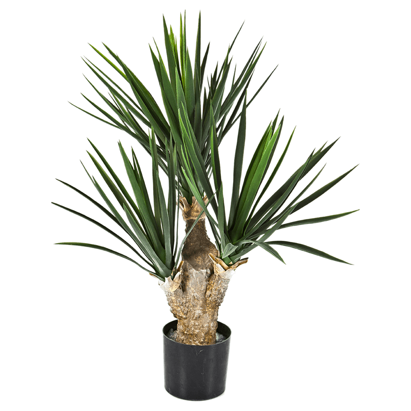 Yucca Baby (3) - kunstplant