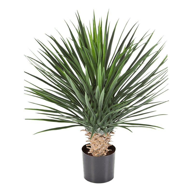 Yucca Rostrata - kunstplant