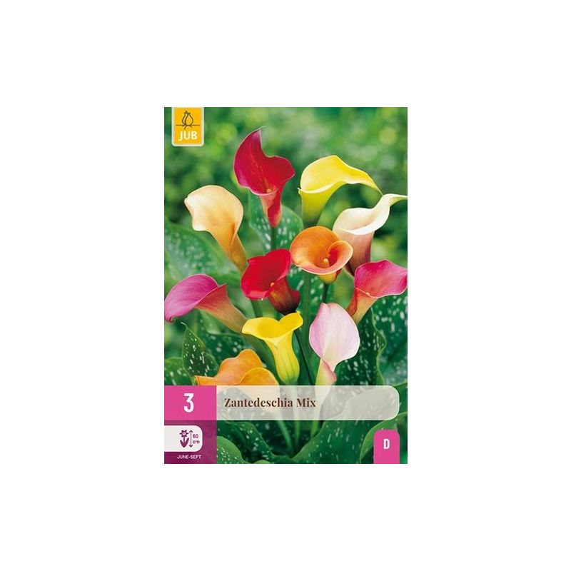 Zantedeschia Mix - 3 stuks