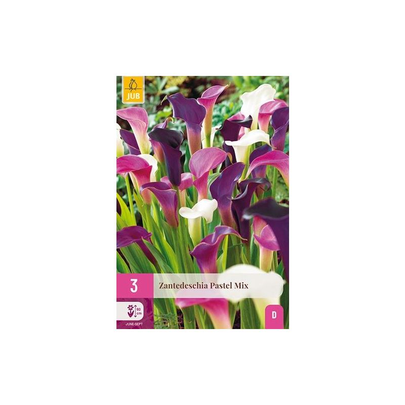 Zantedeschia Pastel Mix - 3 stuks