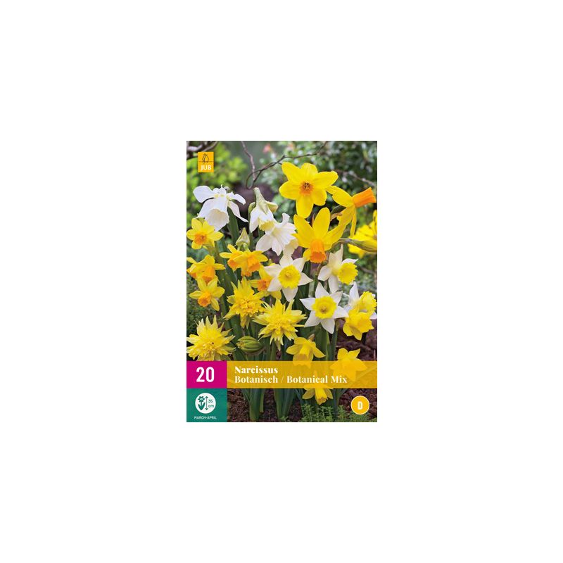 Narcissus Botanisch Mix - 20 stuks