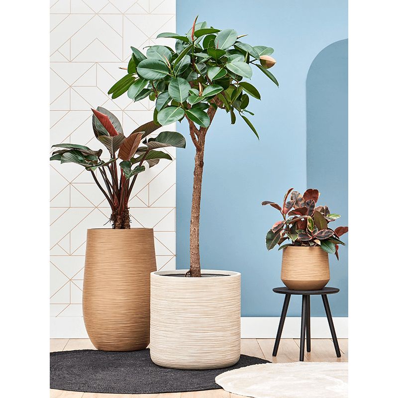 Dune Globe Beige