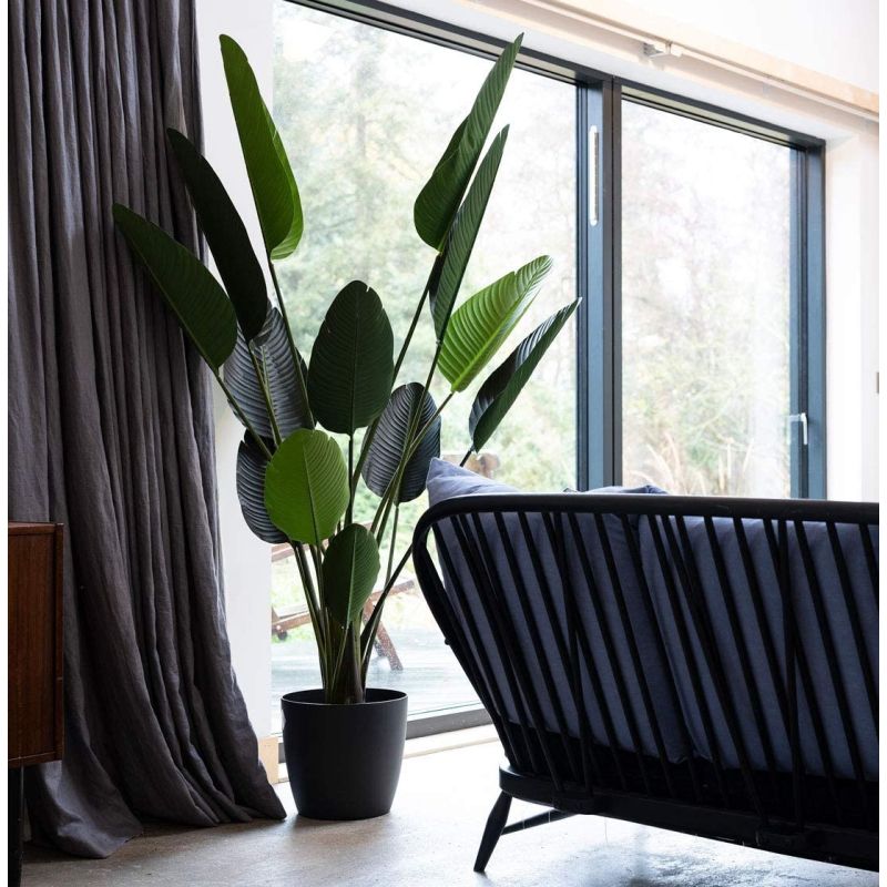 Strelitzia XL - kunstplant 