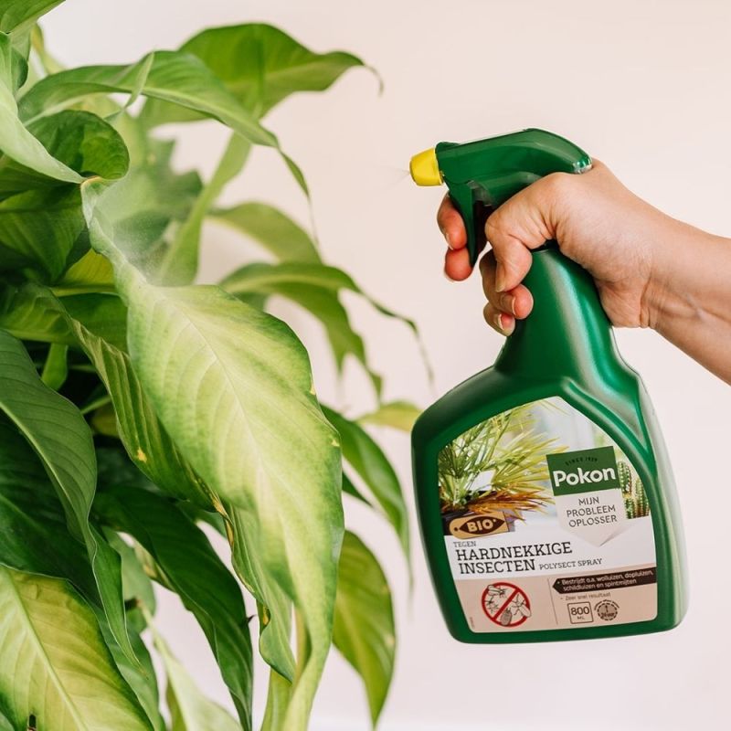 Pokon Bio hardnekkige insecten spray 800ML