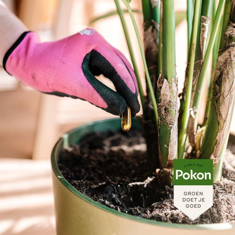 Bio kuur voor kamerplanten