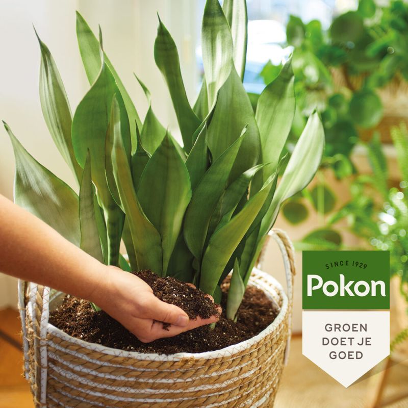 Pokon bio turfvrij kamerplanten potgrond 10L