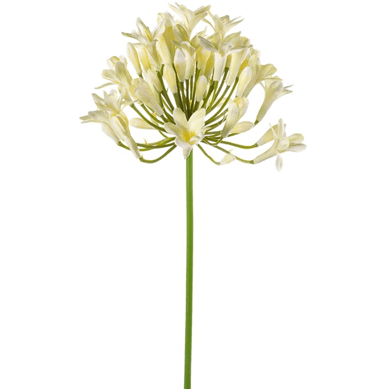 Agapanthus wit - kunstplant 