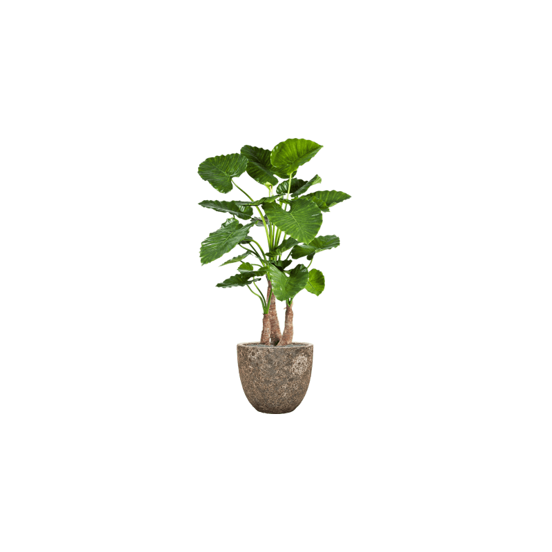 Alocasia Calidora in Vulcana Couple Metal - kunstplant