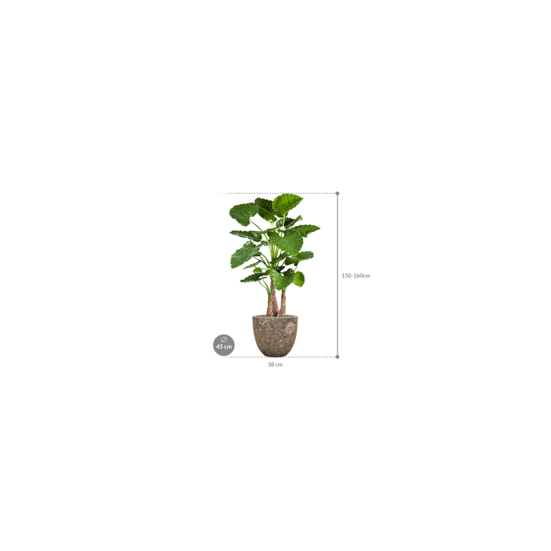 Alocasia Calidora in Vulcana Couple Metal - kunstplant