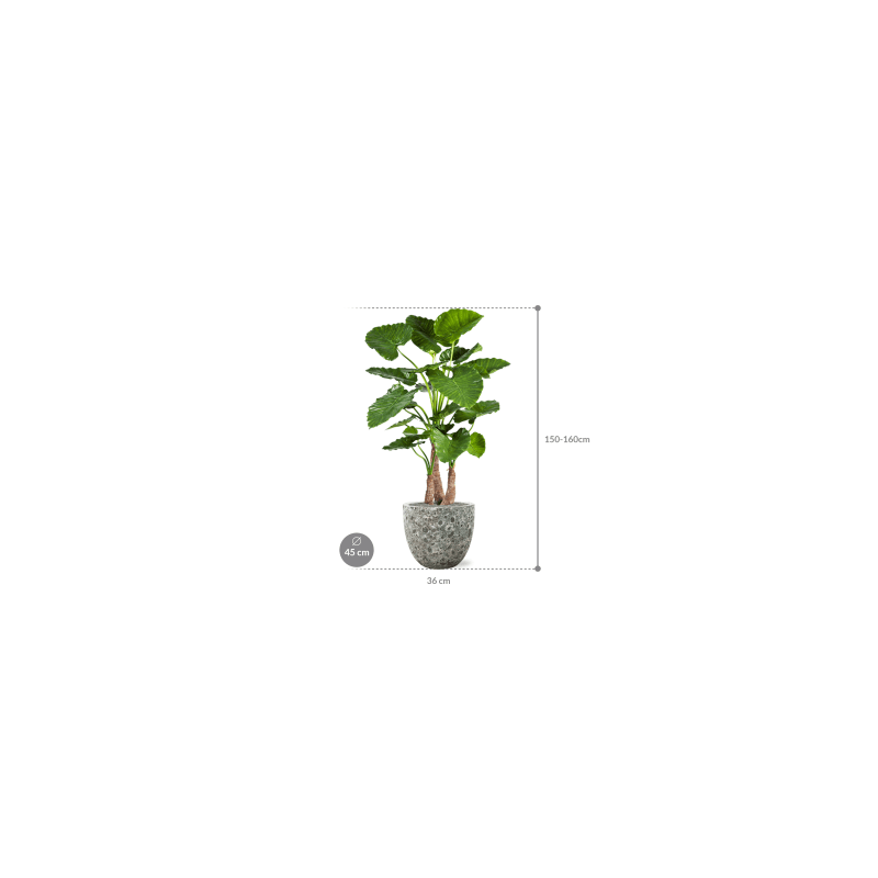 Alocasia Calidora in Vulcana Couple groen - kunstplant