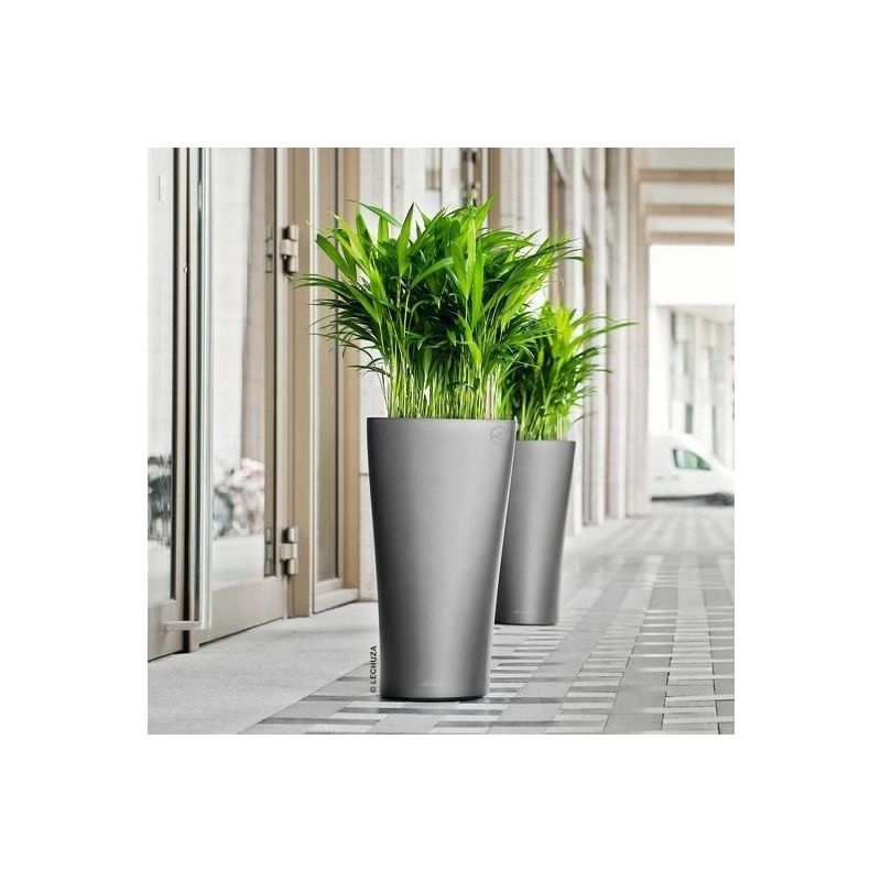 Areca Lutescens in watergevende Delta wit