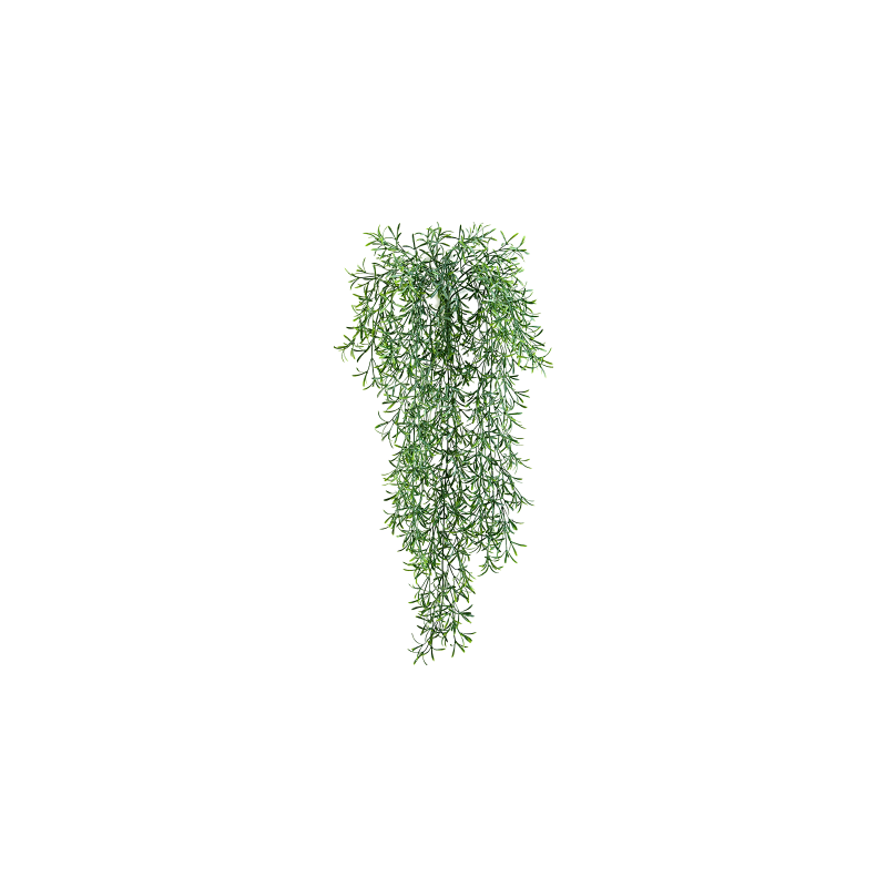 Asparagus Falcatus - kunstplant