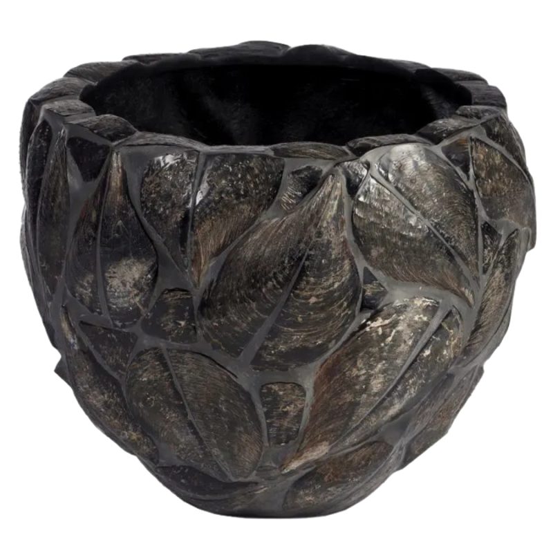 Atrina Shell Bowl