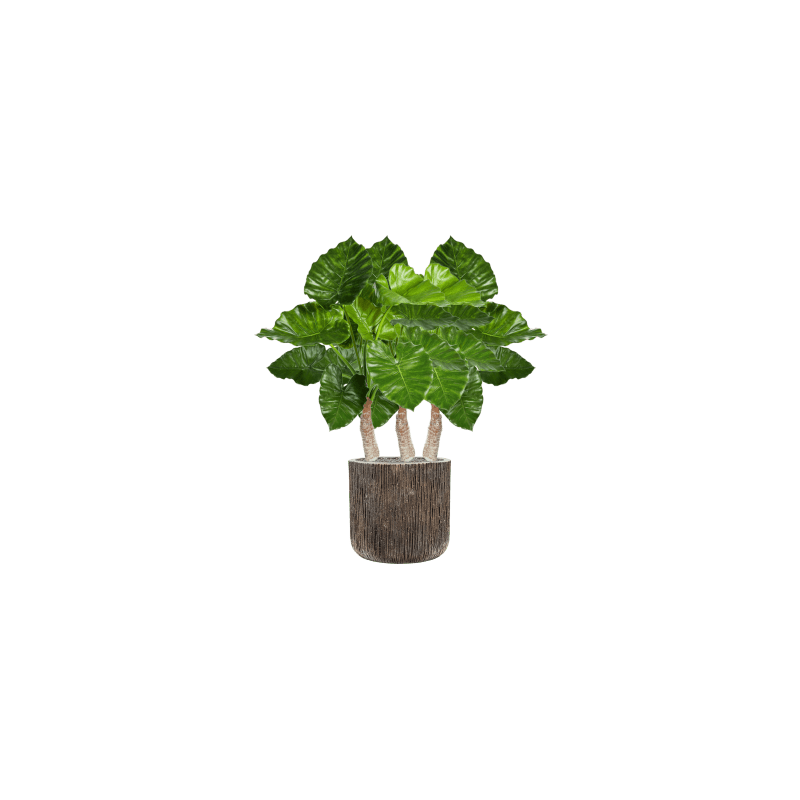 Alocasia Calidora in Luxe Lite Universe Waterfall Cilinder - kunstplant
