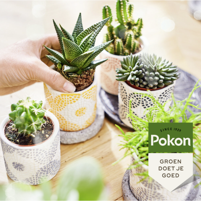 Bio voeding Cactus & Vetplant