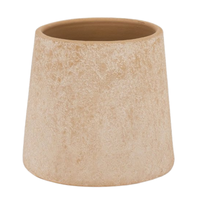 Borba lichtbruin