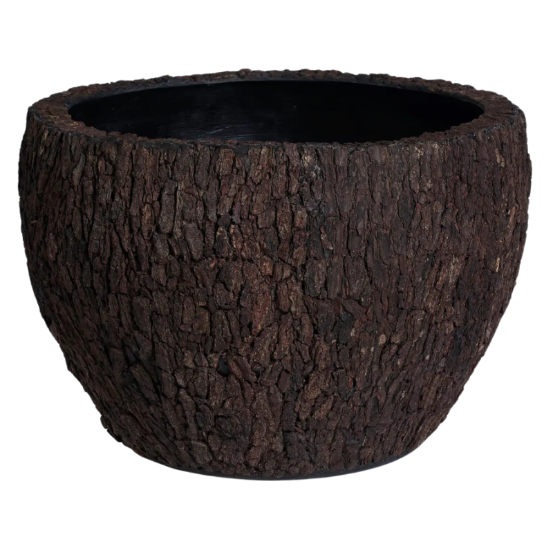 Bosco Couple Bark