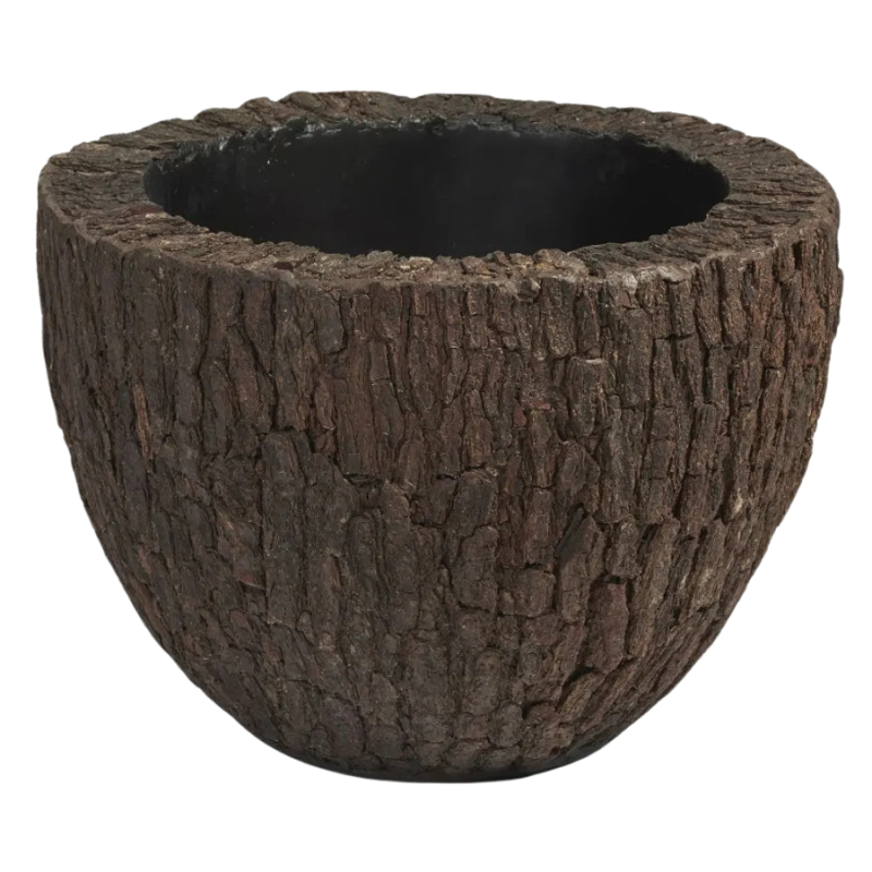 Bosco Couple Bark