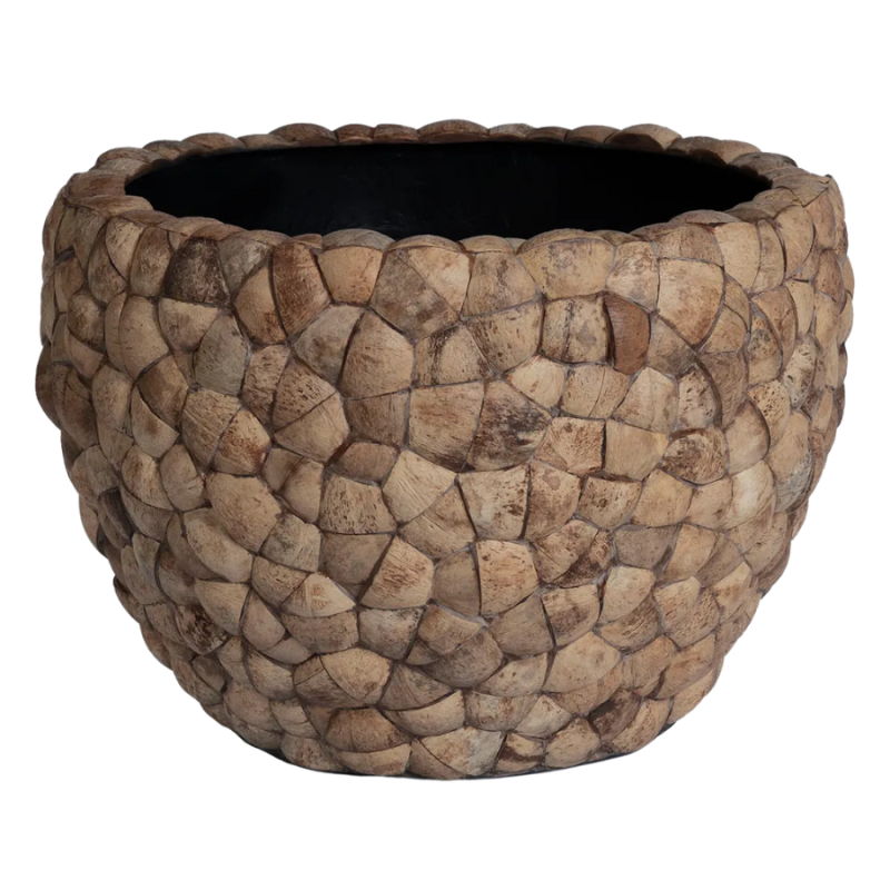 Bosco Couple Coconut