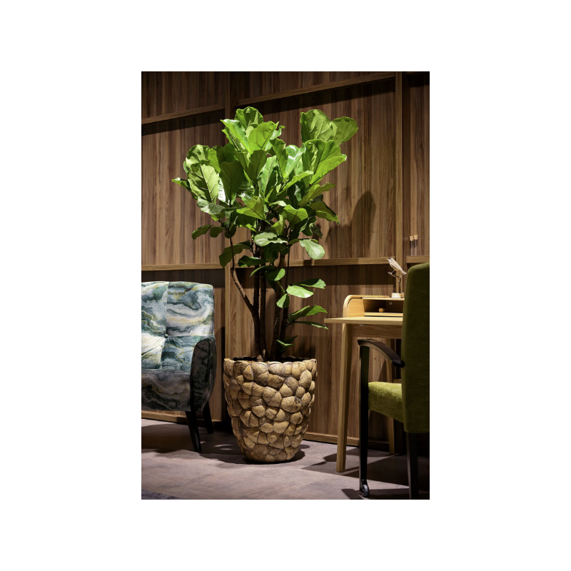 Bosco Pot Coconut