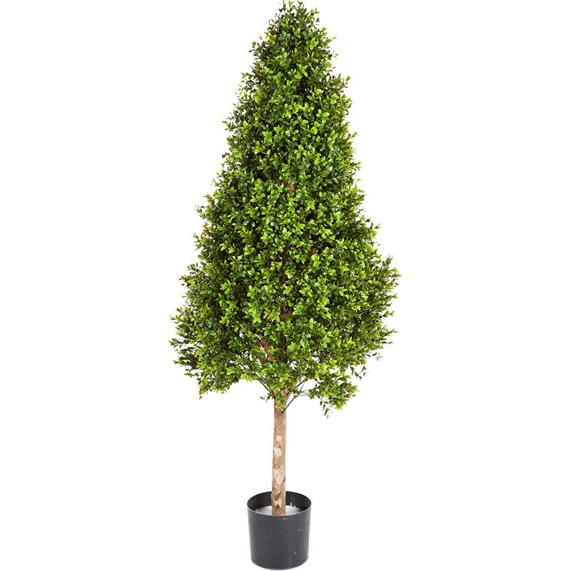 Buxus kegel - kunstplant