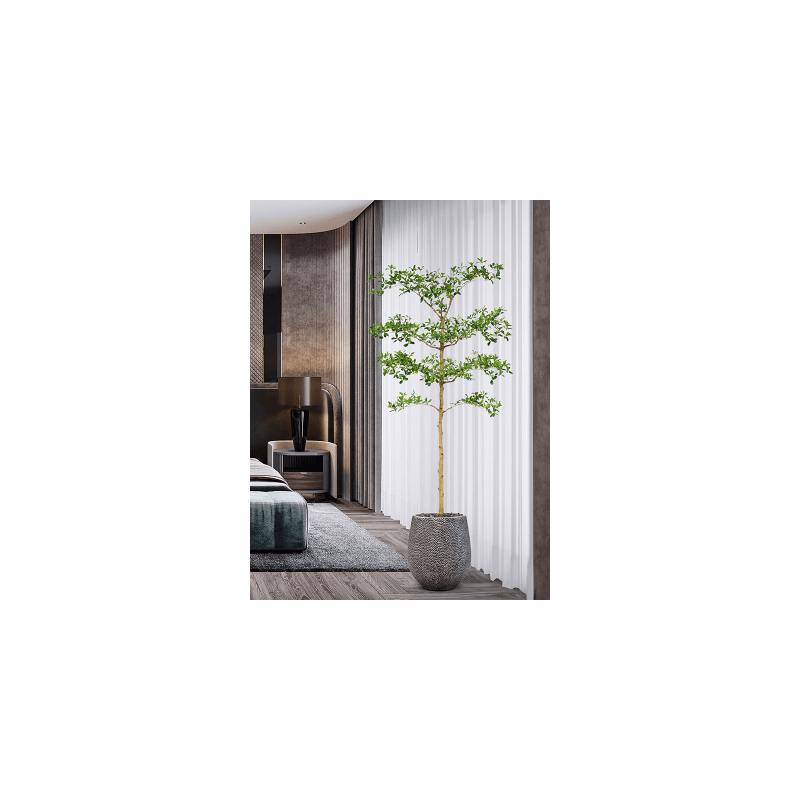 Bucida buceras - kunstplant